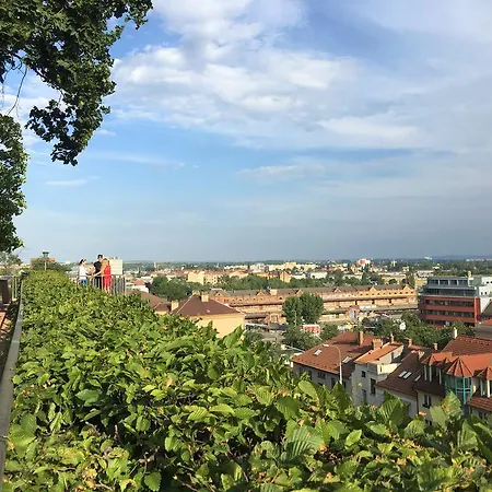 Radnicka Brno